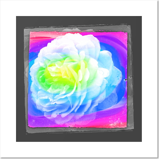 Abstract Rose Photography Art Wall Art by AlondraHanley